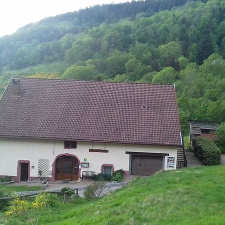 Ferme Auberge A La Colline Ferdrupt Exteriér fotografie