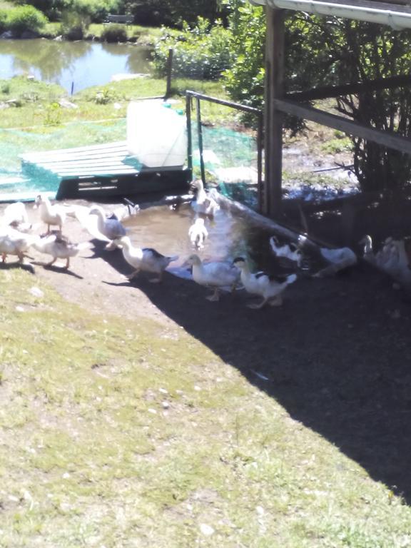 Ferme Auberge A La Colline Ferdrupt Exteriér fotografie