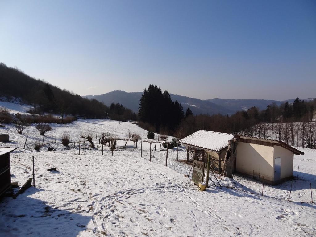 Ferme Auberge A La Colline Ferdrupt Exteriér fotografie