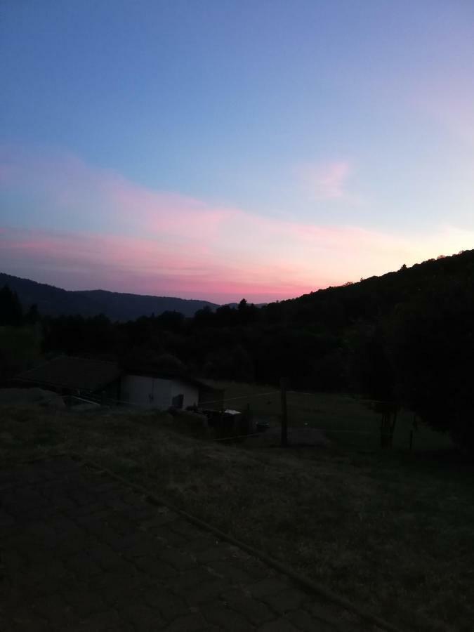 Ferme Auberge A La Colline Ferdrupt Exteriér fotografie